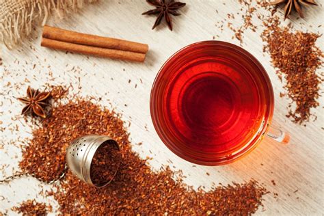 Rooibos Red Bush Tea Learn About Nature