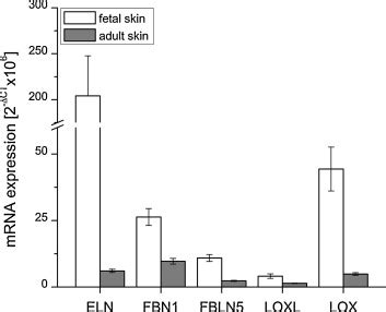 Poly A Tail Shortening Correlates With Mrna Repression In Tropoelastin