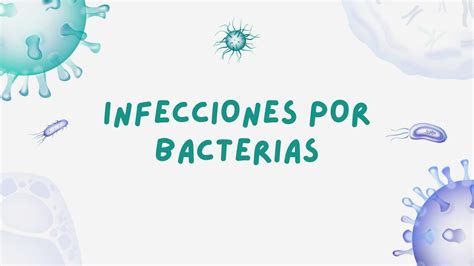 Bacterias Gram Positivas Y Negativas Flavia Alexandra Udocz