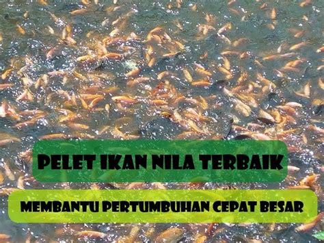 Kandungan Gizi Ikan Nila Ujian