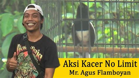 AKSI KACER NO LIMIT Mr AGUS FLAMBOYAN RAIH NOMINASI YouTube