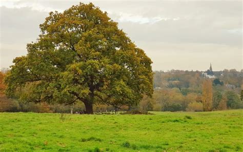 Best Parks In London For Kids