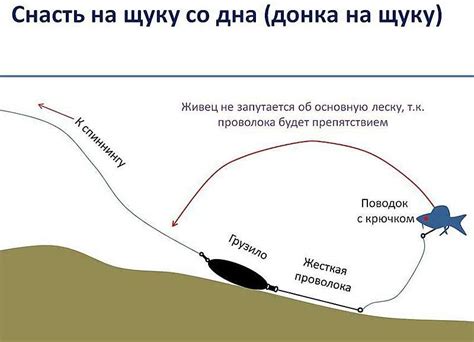 Ловля Щуки на Живца | Поплавочная и Донная Оснастка