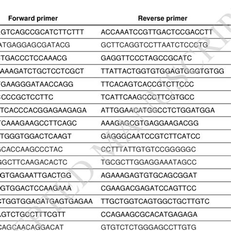 Reverse Transcription Quantitative Real Time Polymerase Chain Reaction