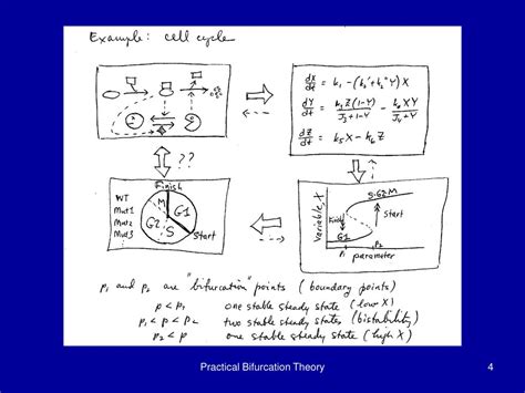 PPT - Practical Bifurcation Theory PowerPoint Presentation, free ...