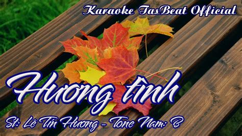 Karaoke H Ng T Nh Tone Nam Tas Beat Youtube