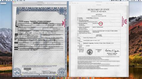 How To Apostille A Nevada Birth Certificate Youtube