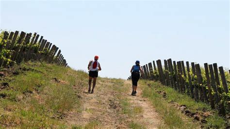 Si Corre Tra I Vigneti A Camporeale Il Trail Delle Cantine