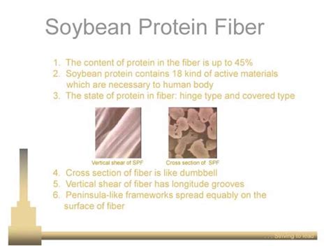 Masood Textile Mills Soybean Protein Fiber