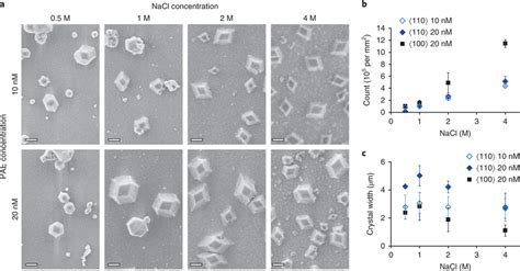 Salt concentration effects on crystal growth a, SEM images of oriented... | Download Scientific ...