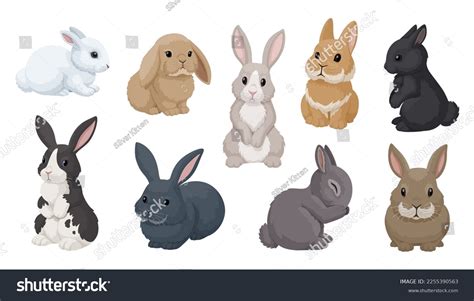 302,003 Bunny Drawing Royalty-Free Images, Stock Photos & Pictures | Shutterstock