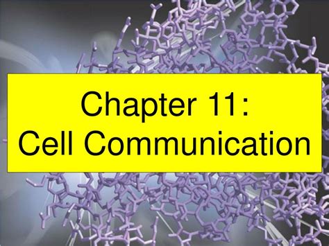 Ppt Chapter Cell Communication Powerpoint Presentation Free