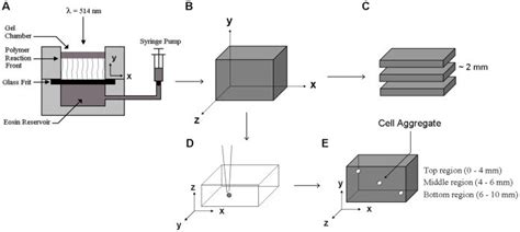 A Schematic Of Glass Frit Perfusion Chamber And B Resultant Download Scientific Diagram