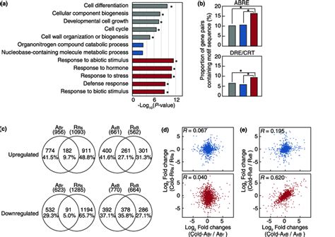 Expression Of Homoeologous Genes In Response To External Stimuli A