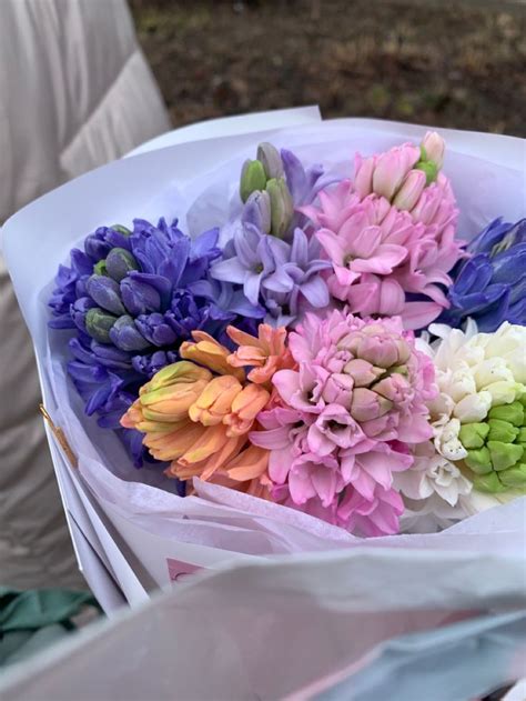 Гиацинты💐 в 2025 г | Букет, Букет цветов, Гиацинт букет