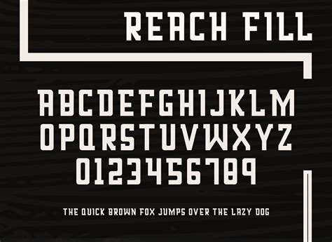 Reach: скачать шрифт и установить для веб-сайта и фотошопа бесплатно.