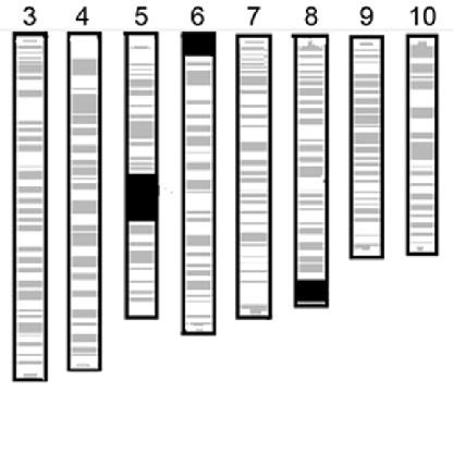 Graphical Genotypes Of The Introgression Line K In The G B