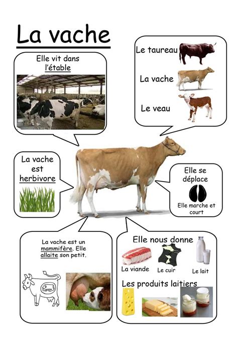 Vache Animaux De La Ferme Autres Animaux De La Ferme Sur Ce Site Ferme Animaux De La