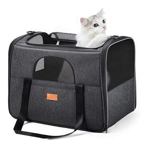 Spot Neue Haustier Ausgehende Tasche Tragbare Katze Rucksack