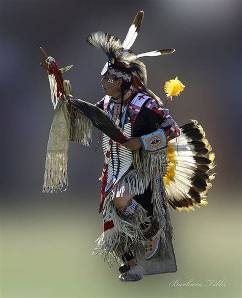 Light Through Tail Traditional Dancer Native American Artifacts Native American Dance Native