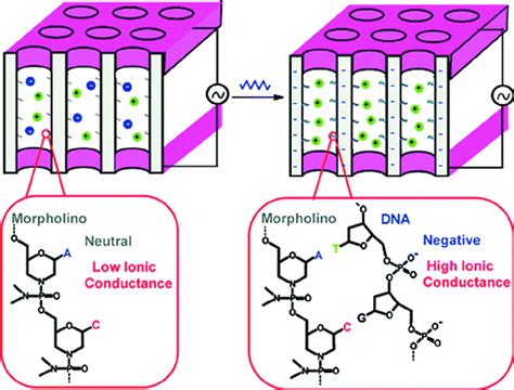 Schematica Illustration Of The Nanoporous Alumina Membrane Based