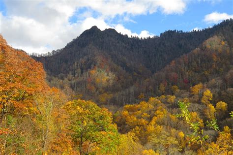 September and October Mean Fall Colors in Great Smoky Mountains Nation ...