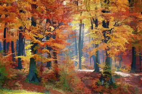 A Crisp Colorful Autumn Stroll Through The Woods Painting By Elaine