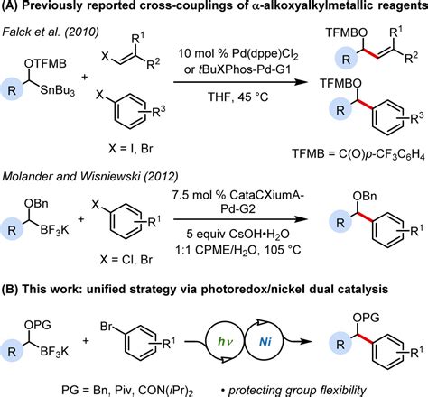 Single Electron Transmetalation Protecting Group Independent Synthesis