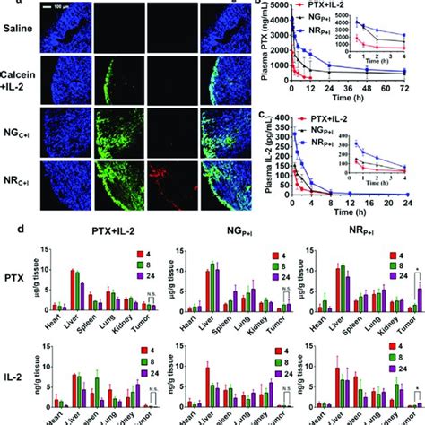 In Vivo Antitumor Effects Of Chemo Immunotherapy A Tumor Growth