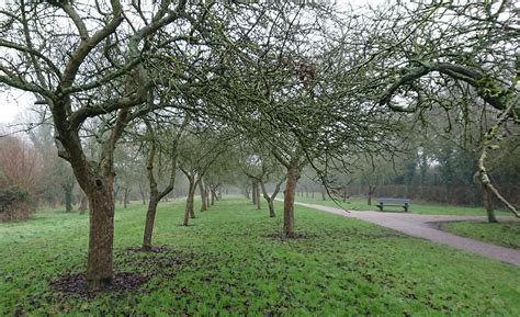 Woughton Marina Milton Keynes Circular Walk 6mi Gay Outdoor Club