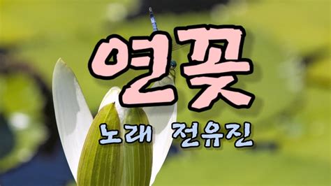 연꽃 노래 전유진 Youtube