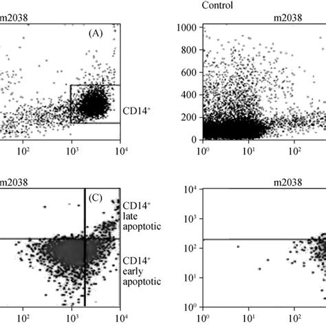 Representative Flow Cytometric Evaluation Of Cd And Apoptotic Cd