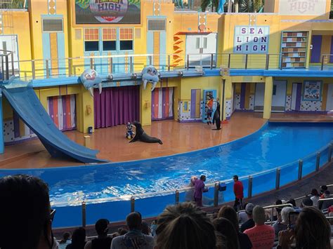 Guide to Aquatic Shows at SeaWorld Orlando – Michelle Valentine – Love ...