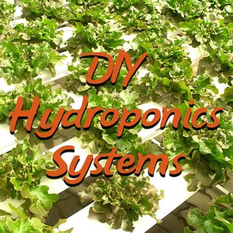 How to Build Your Own DIY Hydroponics System | DIY Garden