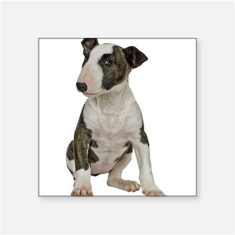 Bull Terrier Bumper Stickers Cafepress