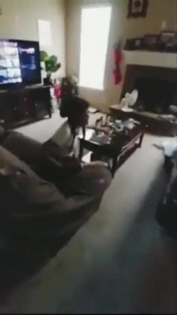 Ebony Stepsister Anal Sister Porn