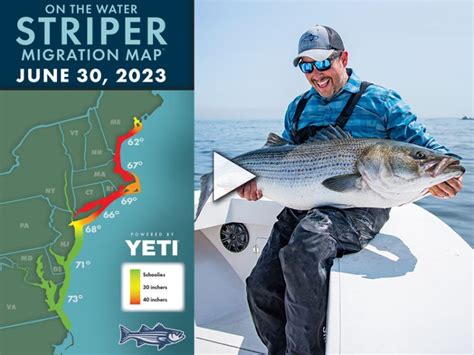 Striper Migration Map - On The Water