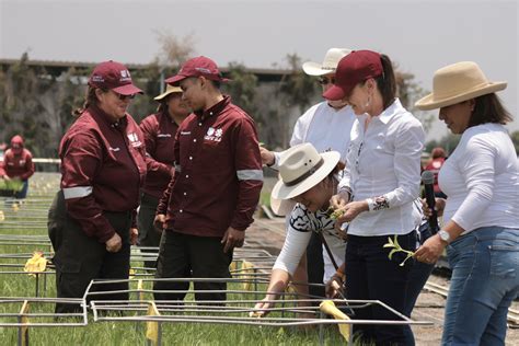 Invierte Cdmx Mil Mdp En Rehabilitaci N De Suelo De Conservaci N