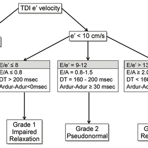 Lv Diastolic Dysfunction Grade 3 | Natural Resource Department