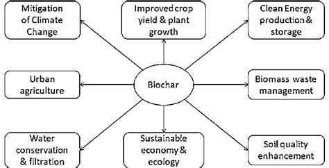 Applications Of Biochar In Different Sectors Download Scientific Diagram