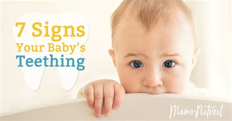 Teething Symptoms: 7 Signs Your Baby is Teething