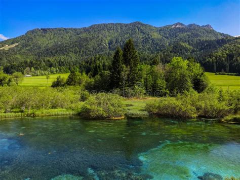 Kranjska Gora Zelenci Park Lake Zelenci In Slovenia During Spring