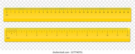 What Is Ruler Definition Types Examples Facts