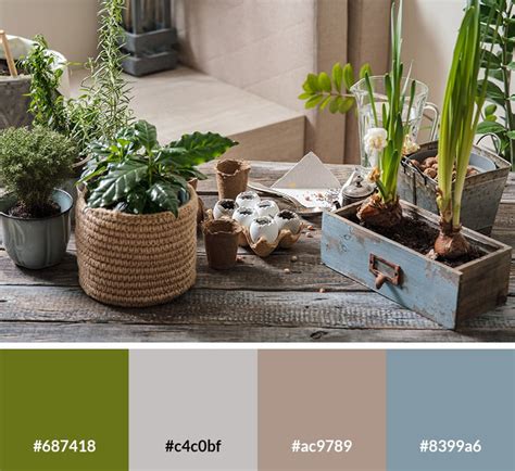 25 Earth Tone Color Palettes With Hex Codes Vandelay Design