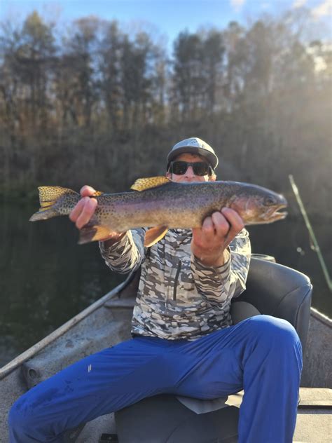 Experience Exceptional Fishing On The Norfork River