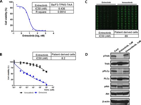 The Conventional Mtt Assay For Entrectinib Using A Ba F Cell And B