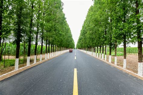 宝鸡市交通运输局 交通助力乡村振兴 扶风县农村公路：美丽公路画中来