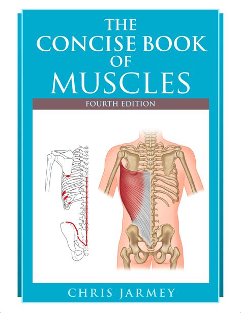 The Concise Book Of Muscles Fourth Edition By Chris Jarmey Penguin