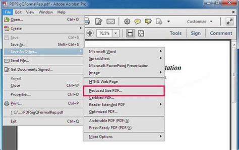 adobe acrobat convert   word check  steps