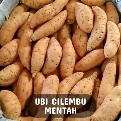 UBI CILEMBU MENTAH UBI JALAR CILEMBU MANIS SEGAR PULEN UBI CILEMBU MADU